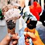 Prisma стала доступна пользователям Android Prisma стала доступна пользователям Android